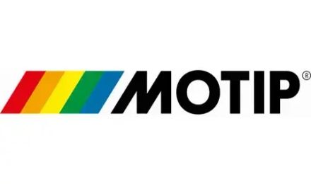 Motip