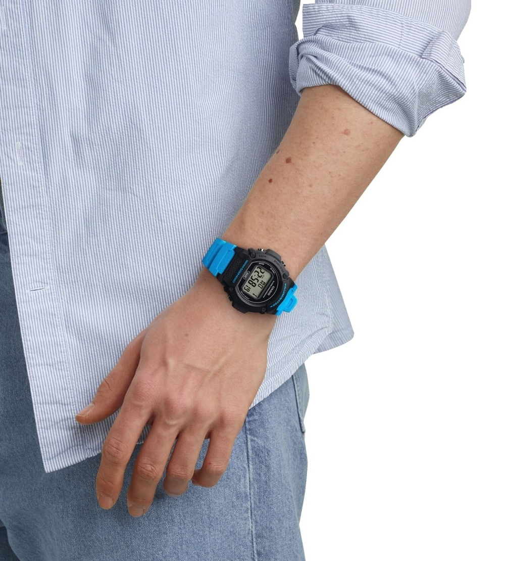 Часы CASIO W-219H-2A2