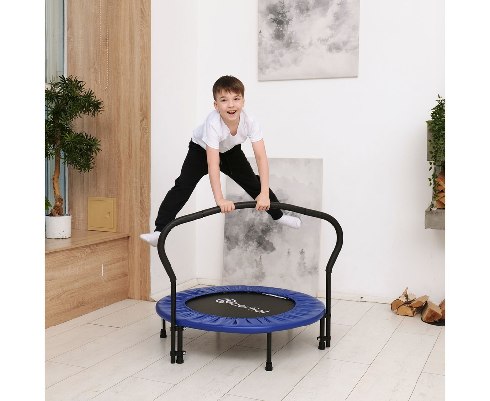 Батут с поручнем DFC JUMPFIT 36'' синий