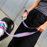 Ультра-легкий поводок Nit CANDY 100 см Zee.Dog