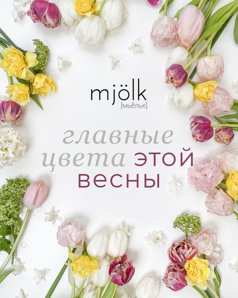 Главные цвета этой весны? Палитра от Mjolk!