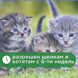 Капли от блох, клещей и гельминтов лечебные "KRKA"/ Для кошек массой от 2,6-7,5кг / "Селафорт 45мг/0,75мл Селамектин