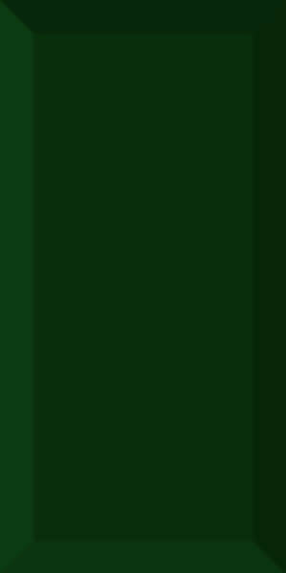 Dar Ceramics Biselado Botella Brillo 10x20