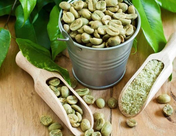 Полезен ли зеленый кофе при сахарном диабете? Полезен ли зеленый кофе при сахарном диабете?