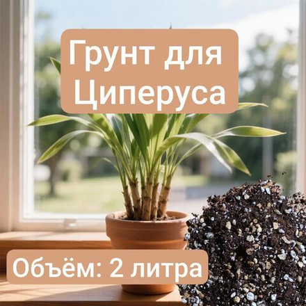 Авторский грунт Циперуса 2 литра