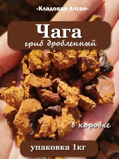Чага дробленая
