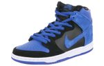 Кроссовки Nike Dunk Sb J Pack Royal