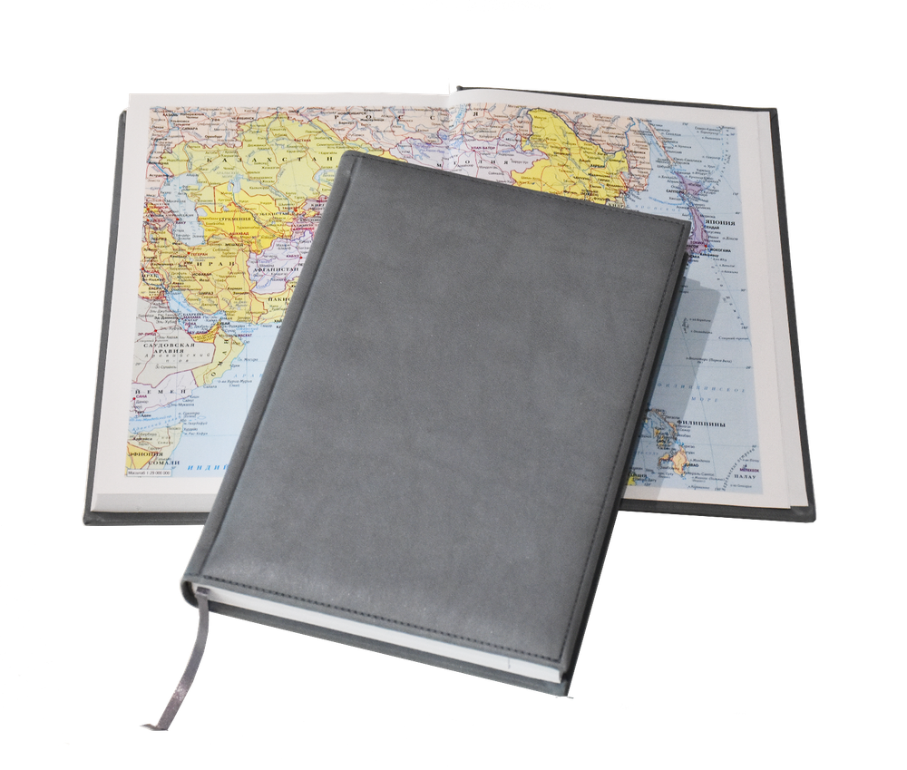 Ежедневник Lediberg Tucson Серый