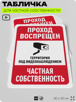 Табличка для частной территории "Проход воспрещен", на дом, для участка, организаций и частных территорий, предупреждающая, 40х30 см, Silver Plane x Айдентика Технолоджи