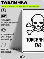 Табличка для обеспечения безопасности "Токсичный газ", для производства, предприятия, организаций, 40х30 см, Silver Plane x Айдентика Технолоджи