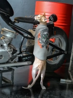 Одежда для кошек сфинкс