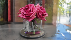 Букет ароматический Cote Noire Five Roses Magenta & Clear