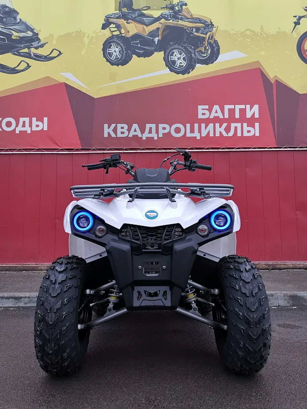 Квадроцикл PROMAX RENEGADE 280 (2025)