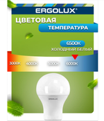 Светодиодная лампа Ergolux LED-A60 (12W/A60/220V/E27/6K)