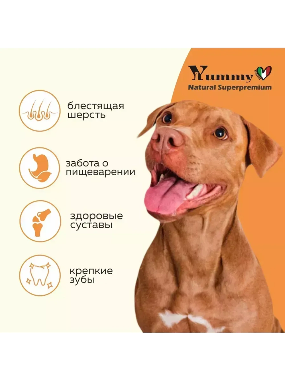 Корм для собак средних и крупных пород, индейка 2,5 кг