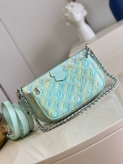 Louis Vuitton Multi Pochette Accessoires