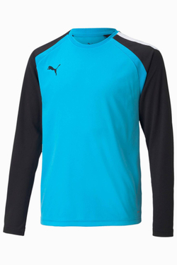 Вратарская кофта Puma teamPACER GK LS