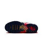 Мужские кроссовки Nike Air Max Plus 'PSG' FZ4776-100