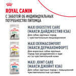 Сухой корм Royal Canin Labrador Retriever Adult для взрослых собак породы Лабрадор Ретривер от 15 месяцев 12кг