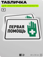 Табличка для обеспечения безопасности "Первая помощь", для офиса, по охране труда для предприятия, организаций, 40х30 см, Silver Plane x Айдентика Технолоджи