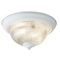 Потолочный светильник Arte Lamp Aqua A9370PL-2WH