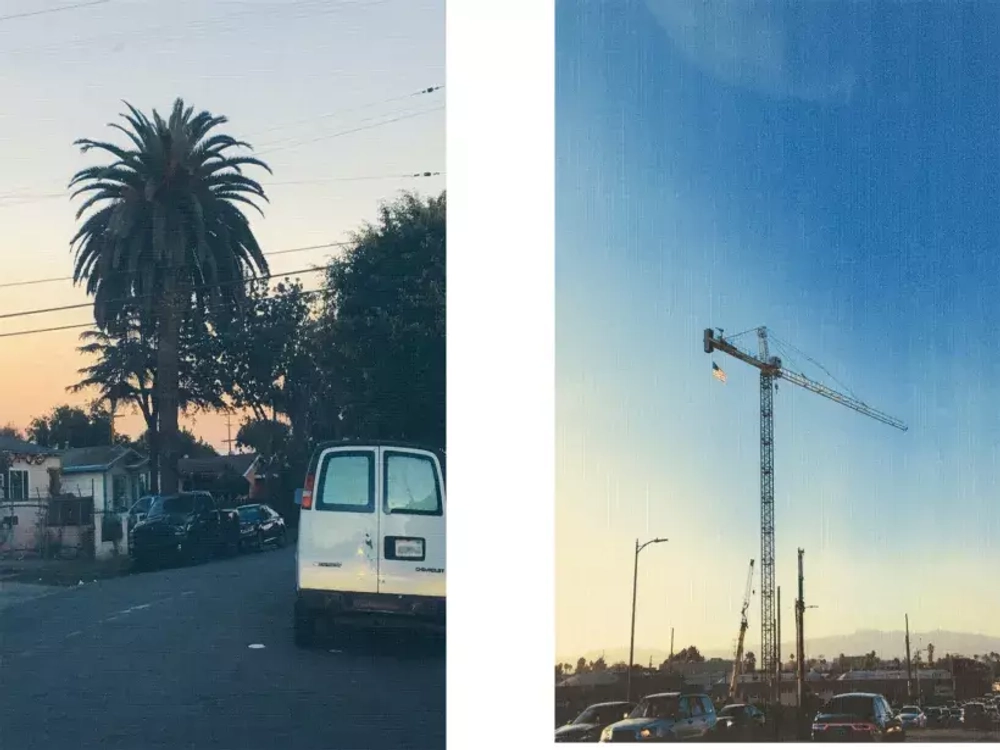 Вайолет, склонившаяся над травою