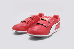 Универсальные Шиповки Puma EvoSpeed Long Jump 6