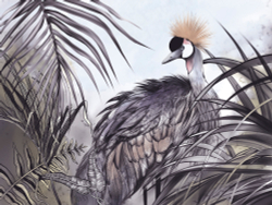 Коллекция Animality