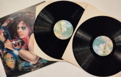 Винтажная виниловая пластинка LP Alice Cooper School Days The Early Recordings 2LP (Germany 1973)