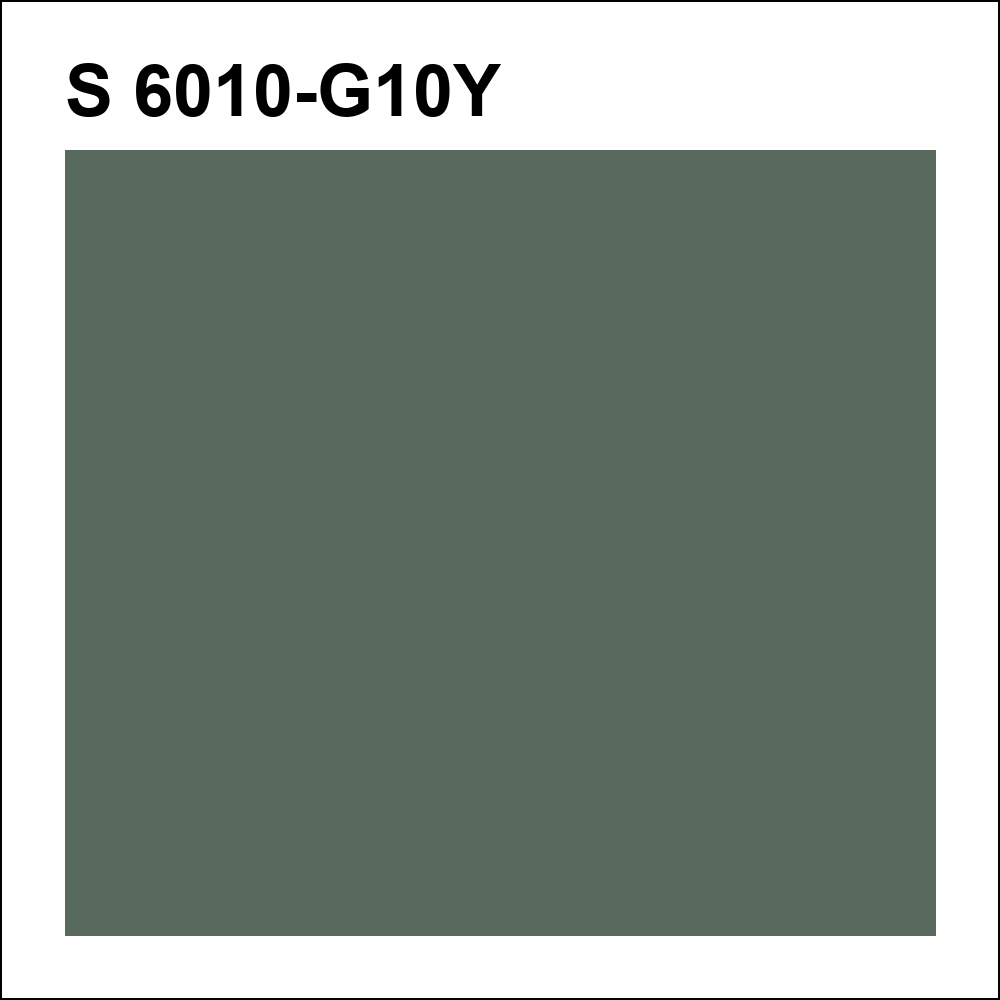 S 6010-G10Y за кг
