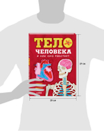 Любимая детская энциклопедия. Тело человека и как оно работает