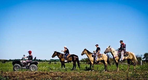 Квадроцикл BALTMOTORS Striker 700 EFI (ПСМ)