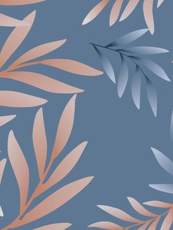 Наволочка комплект 2шт бязь Сказка "Риволи" 50x70 см