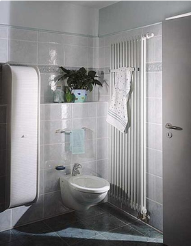 Радиатор Zehnder Charleston Completto 2180 - 10 секций нижнее подключение V001 1/2" RAL 9016