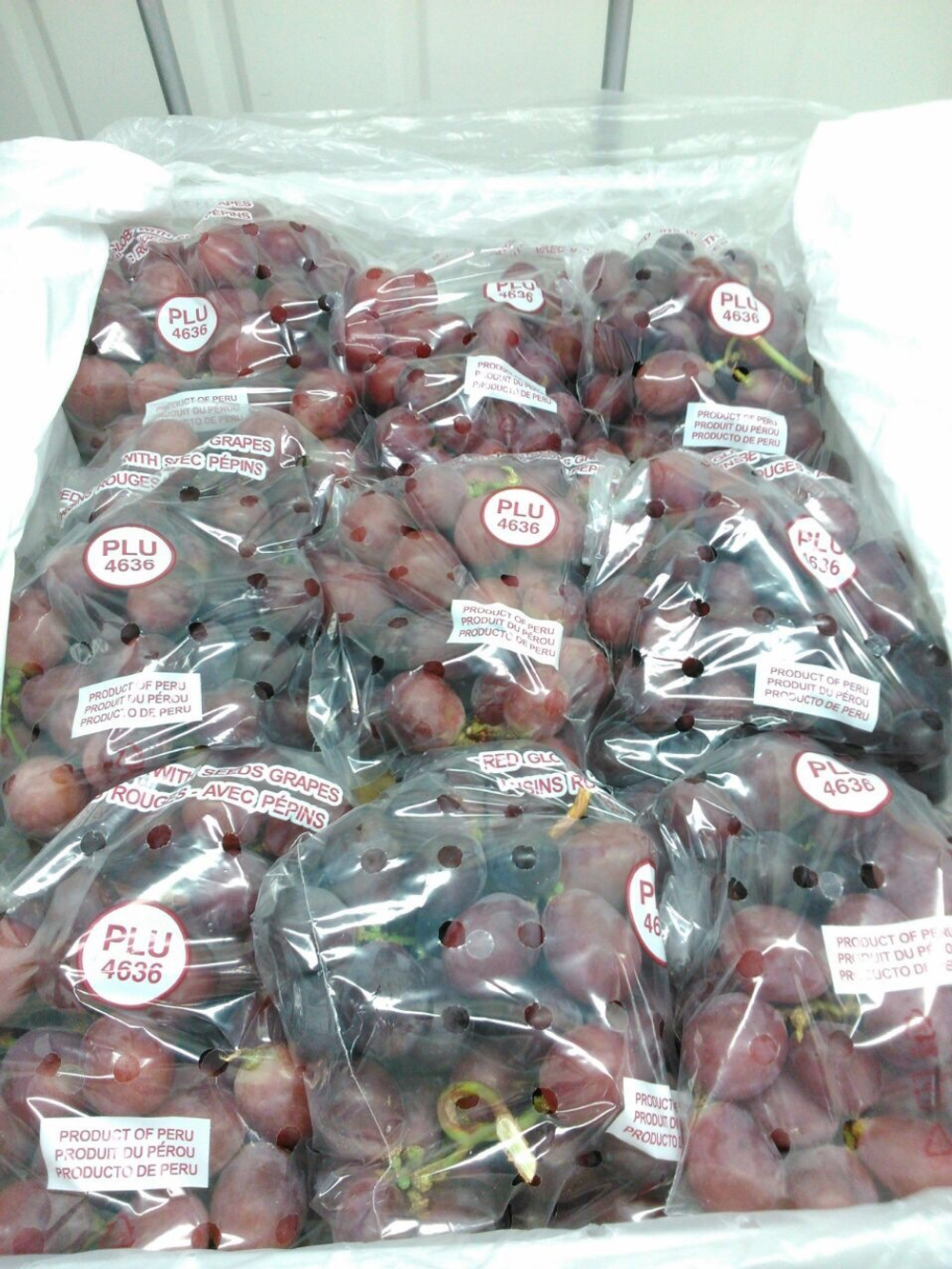 виноград RedGlobe -Перу