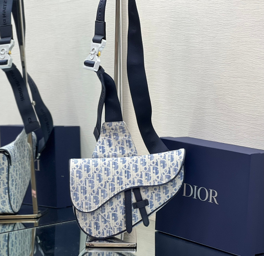 Christian Dior Saddle 26 cm