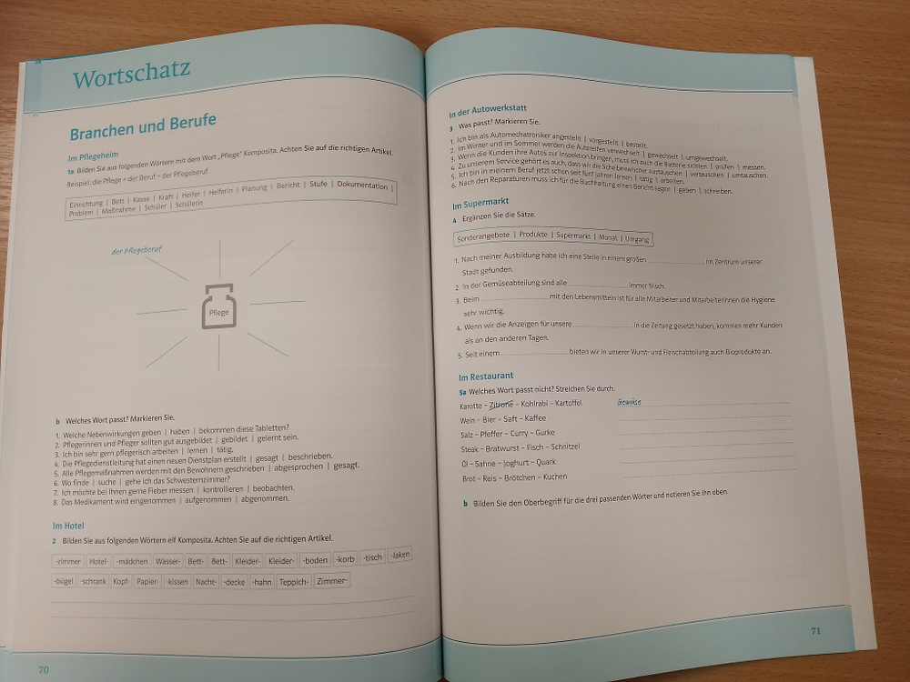 Mit Erfolg zu telc Deutsch B1 + Beruf. Übungsbuch + Audio-CD