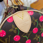 Louis Vuitton Speedy 25