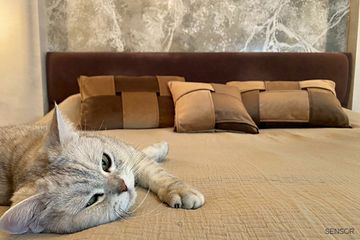 Подушка детская 40х60