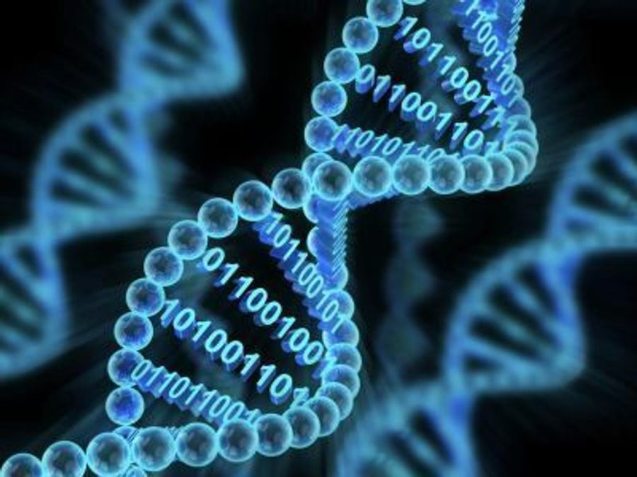 Компьютер на ДНК впервые одновременно хранил данные и решал судоку