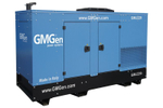 Дизельный генератор GMGen Power Systems GMJ220