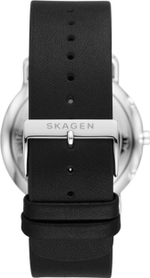 Мужские наручные часы Skagen SKW6702