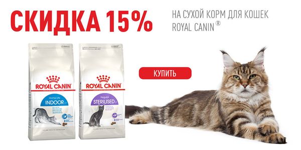 Объявляем АКЦИЮ на Royal Canin для кошек!