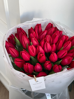 Букет из 51 красного тюльпана