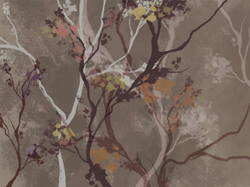 Коллекция PROSECCO