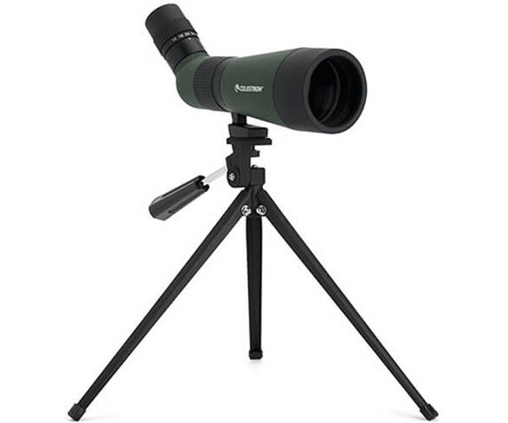 Зрительная труба Celestron LandScout 60 12-36x60