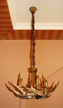 ROLL&HILL Superordinate Antler Chandelier - 6