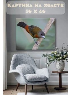 Картина на стену 40 X 50 Птица