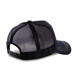 Баскетбольная кепка CAPSLAB Freegun Looney Tunes