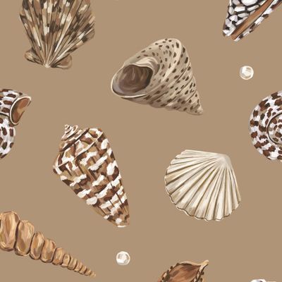 Морские ракушки на песочном фоне